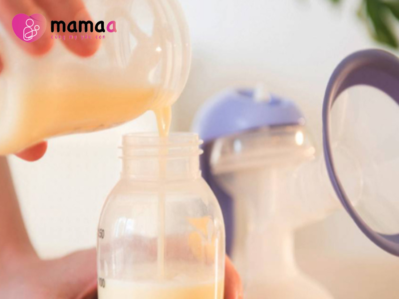 Cho sữa non pha sẵn vào bình để trẻ dễ uống