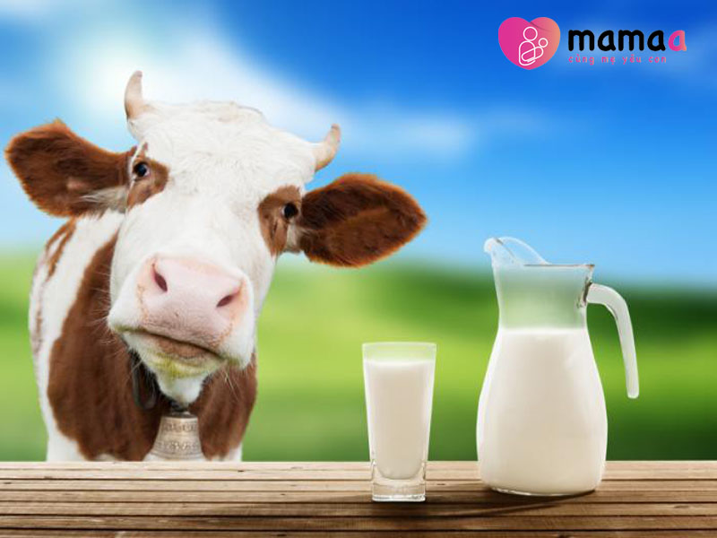 Sữa non có nguồn gốc từ động vật