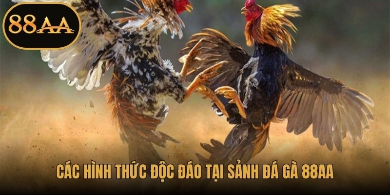 Các hình thức độc đáo tại sảnh đá gà 88AA