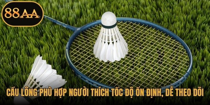 Cầu lông phù hợp người thích tốc độ ổn định, dễ theo dõi